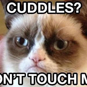 Meet your Posher, Rosalyn